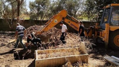 Anne ve oğlu corona virüs kurbanı