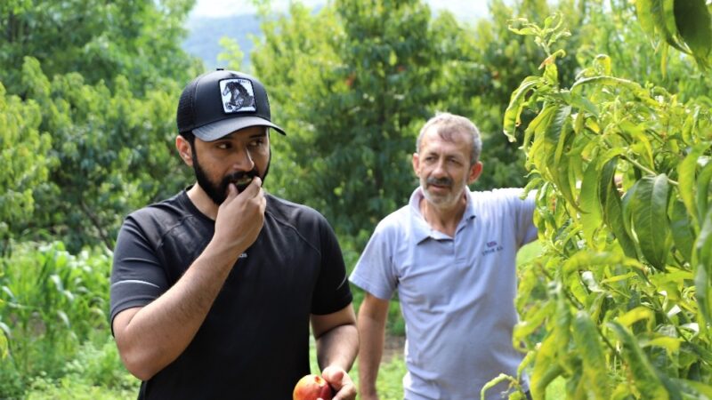 Bursalı bir müteşebbis, turistlere dalından meyve yeme zevki yaşatıyor.