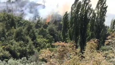 Bursa’da orman yangını