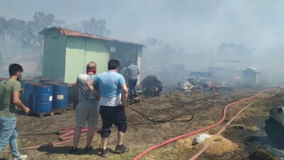 Bursa’da makilik alanda çıkan yangın ormana sıçradı