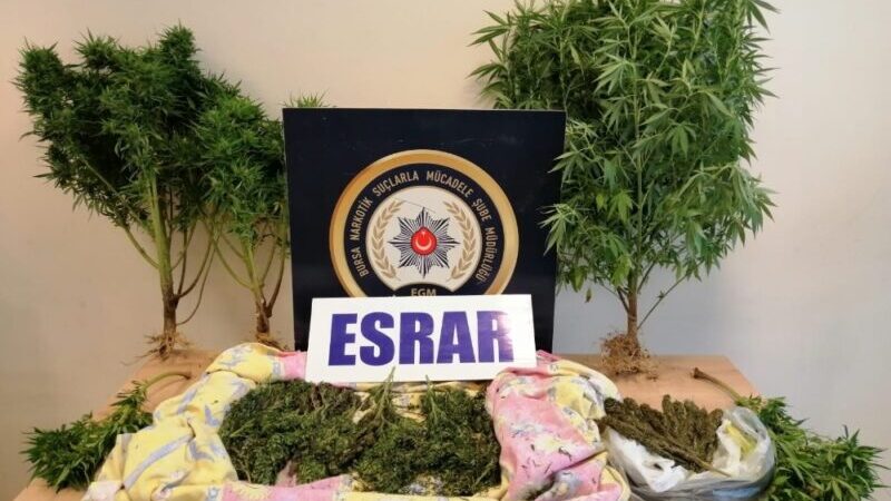 Bursa’da uyuşturucu operasyonu: 3 gözaltı