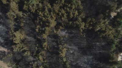 Bursa’daki orman yangınının boyutu havadan böyle görüntülendi