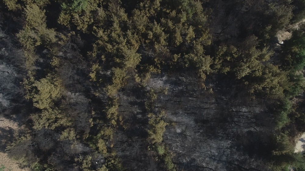 Bursa’daki orman yangınının boyutu havadan böyle görüntülendi