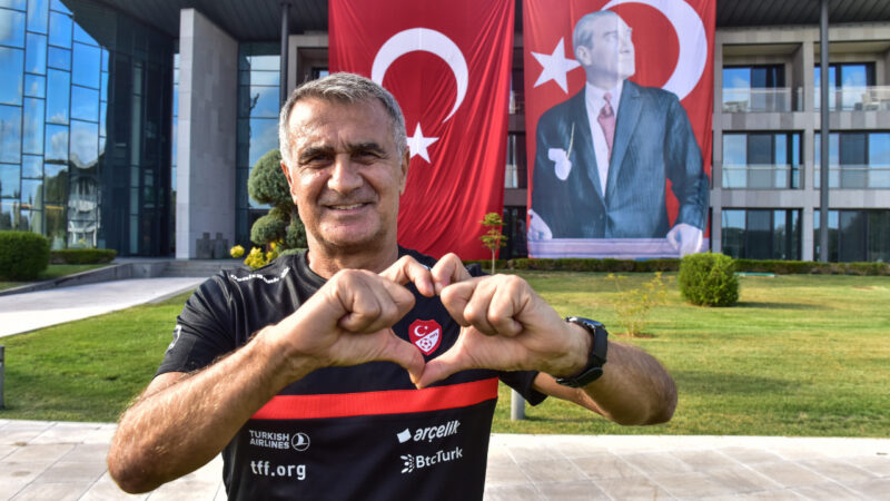 A Milli Futbol Takımı teknik direktörü Şenol Güneş, "Alınamayan iki