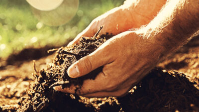 Antidepresan etkisi kanıtlandı!