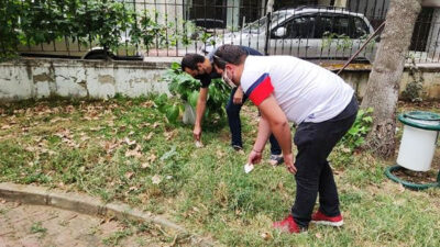 Bursa’da yolda buldular! Her yerde sahibini arıyorlar