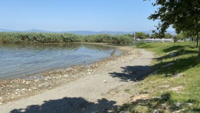 İznik Gölü’nde korkutan görüntü…
