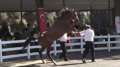 Görüntü Bursa’dan! Her şey bir anda oldu