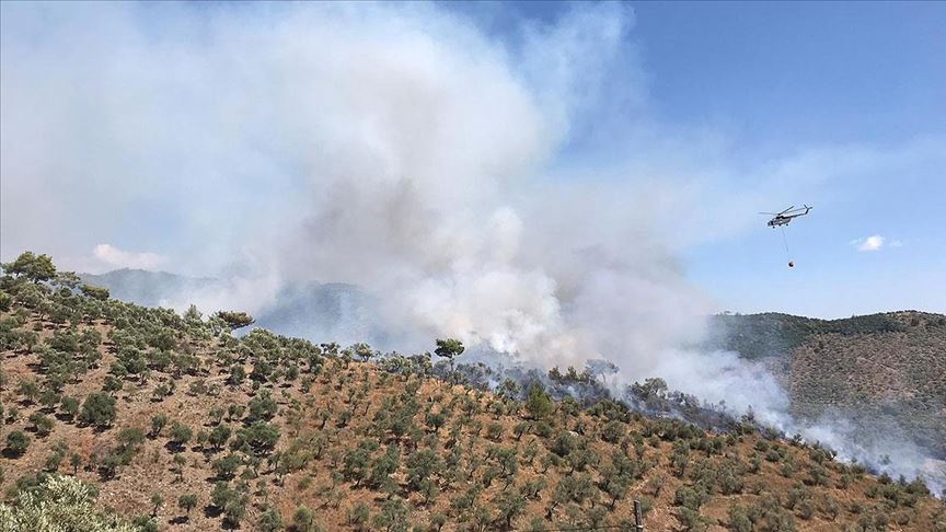 Muğla’da orman yangını