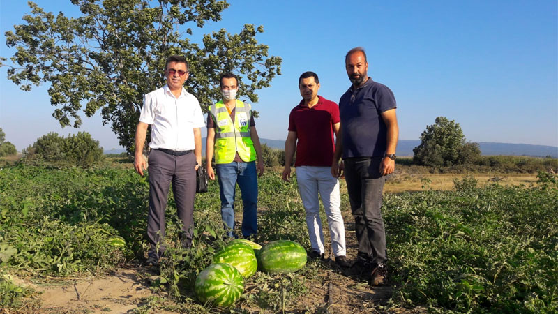 Mustafakemalpaşalı çiftçinin yüzü yeni gelir kaynaklarıyla gülecek
