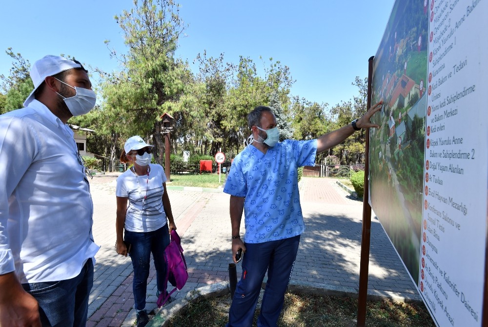 Modern barınak Türkiye’ye örnek oluyor Modern barınak Türkiye’ye örnek oluyor