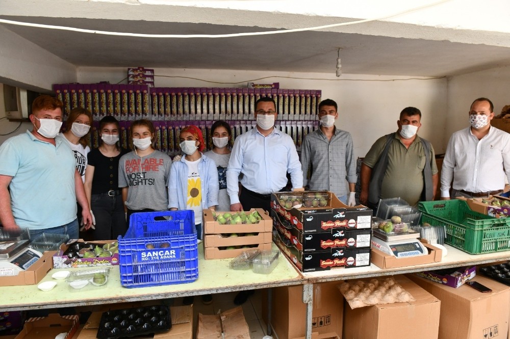 Dünyanın en lezzetli inciri Mustafakemalpaşa’da yetişiyor