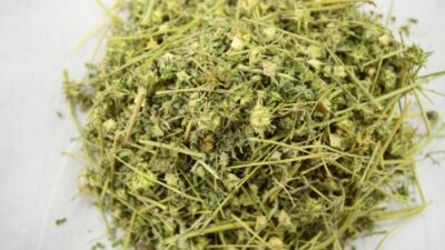 Yüzyıllardır alternatif tıpta kullanılıyor! Menopoz ve andropozun etkilerini azaltıyor.