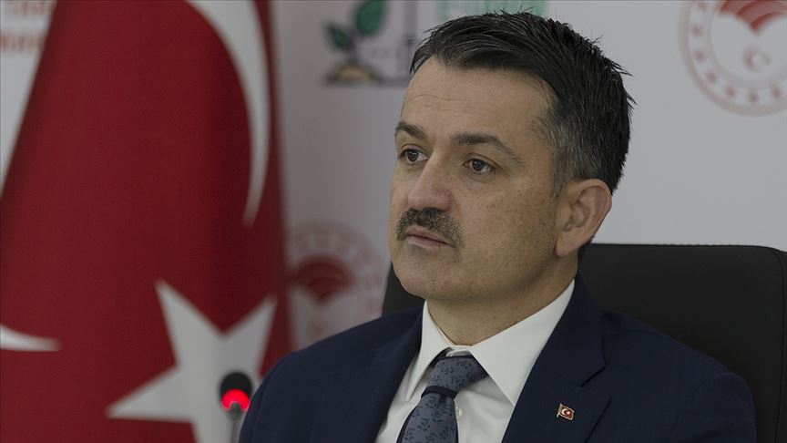 Bakan Pakdemirli: Bugüne kadar teslim edilen fındıklar için cuma ödeme yapacağız
