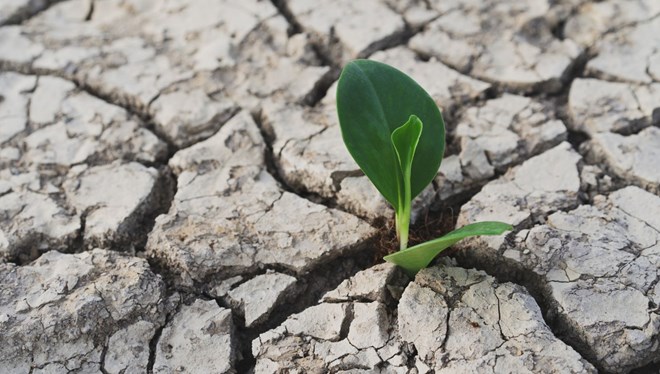 Tarımda kritik rapor