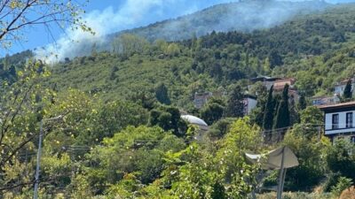 Uludağ eteklerinde korkutan yangın