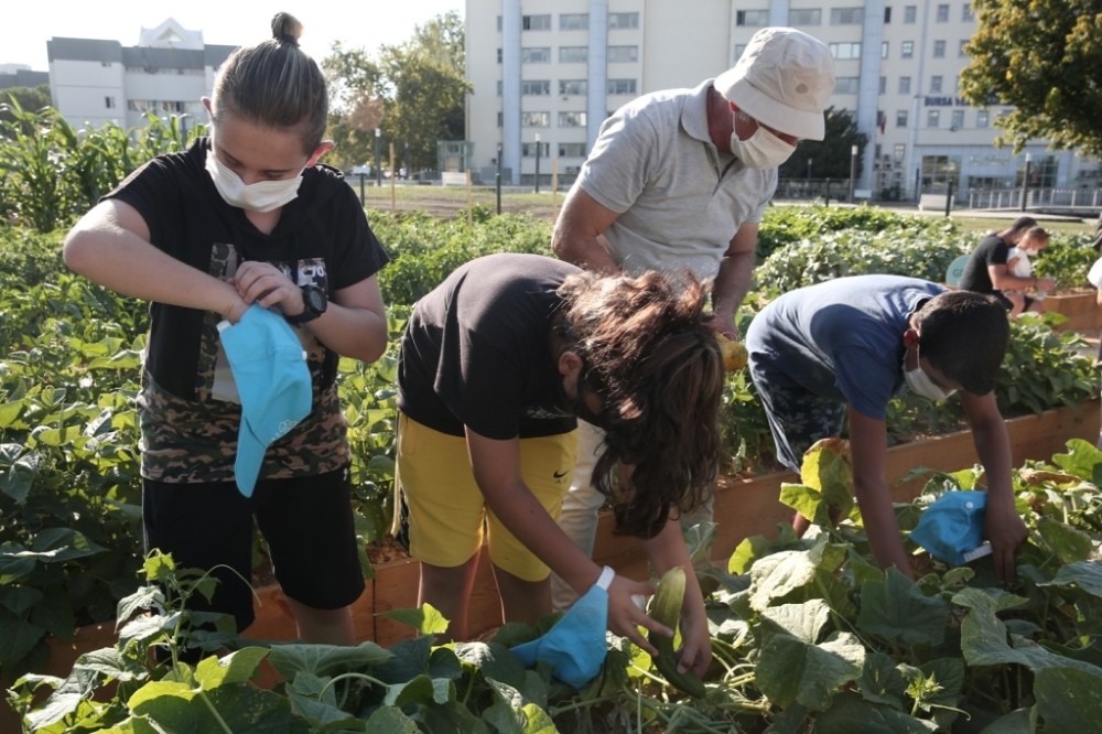 Yeni nesil tarımla tanışıyor