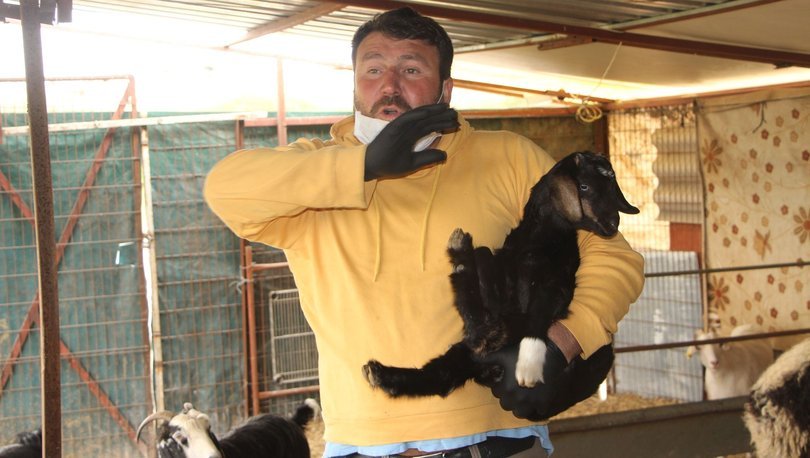 ‘Zavadanak’ sözüyle gündem olmuştu, tutuklandı