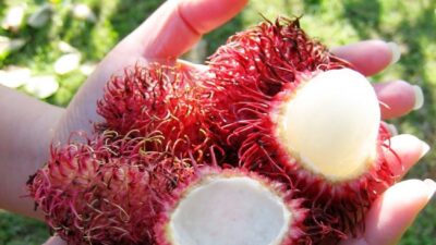 İçinde hazine saklı! Bağışıklığı güçlendiriyor, kısırlığa karşı etkili…