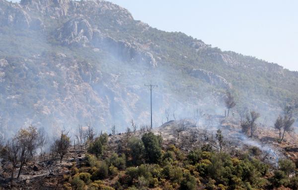 Antalya’da orman yangını: 5 hektar alan kül oldu