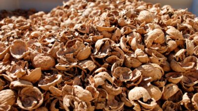 5 gün içerisinde gelen mucize…