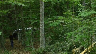 Bursa’da kaçak ağaç keserken fotokapana yakalandı