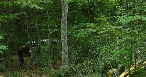 Bursa’da kaçak ağaç keserken fotokapana yakalandı