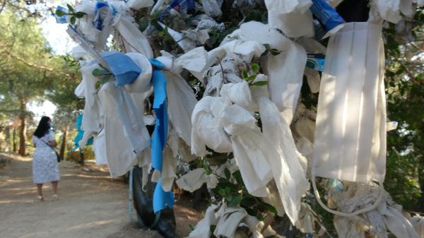 Çıldırtan görüntü! İsyan ettiler…