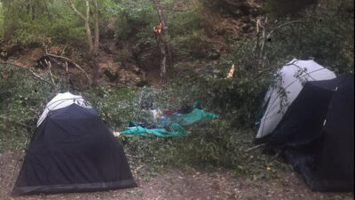 Kamp korkunç bitti! Domuz saldırdı sandılar ama…