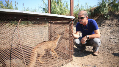 Türk filmi sahnesinde gördü! Kurduğu tuzakla yakaladı