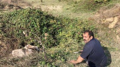 Elinde bıçakla bekledi! ‘Kurtulmazsa sucuk yaparız’