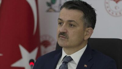Bakan Pakdemirli’den ‘yangın’ açıklaması