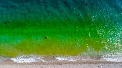 Dünyaca ünlü sahilinin rengi bir anda değişti! İşte nedeni…