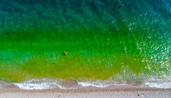 Dünyaca ünlü sahilinin rengi bir anda değişti! İşte nedeni…