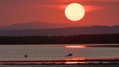 Kuş Cenneti’nde kartpostallık görüntüler