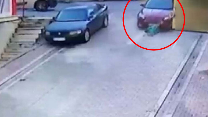 Kediyi kurtarmak isterken canından oluyordu