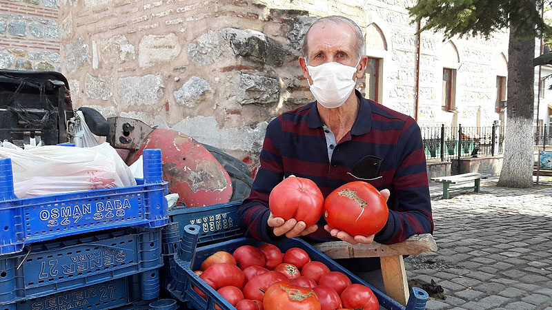 Bursa’da büyük ilgi görüyor! Tam 922 gram ağırlığında… Bursa’nın İznik ilçesinde üretilen domatesler görenleri şaşırtıyor.