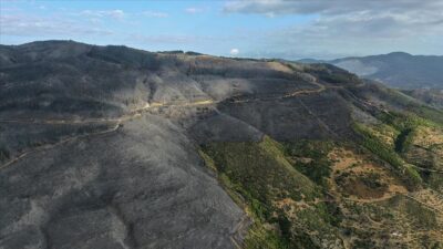 Aydın’daki orman yangını kontrol altında