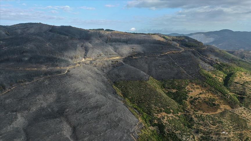 Aydın’daki orman yangını kontrol altında