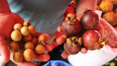 Antalya’da yetişiyor, kilosu 350 lira…