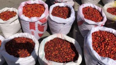 C vitamini deposu! Bu dönemde bol bol tüketin…