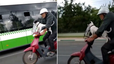 Bursa’da şaşkına çeviren görüntü