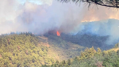 Bursa’da orman yangını
