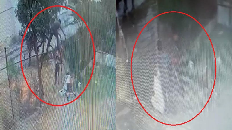 Bursa'nın Gemlik ilçesinde, sitelerden hırsızlık yaptığı tespit edilen 2 şüpheli