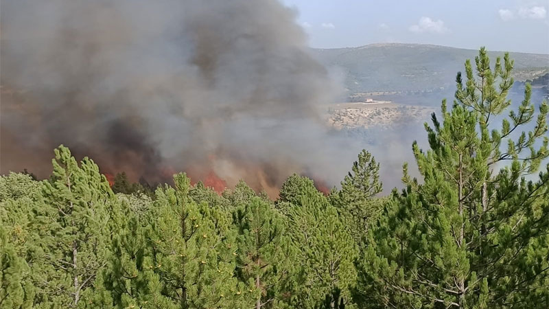 Kütahya’da orman yangını