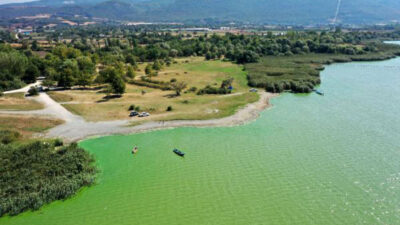 Uluabat Gölü’nün rengi değişti! İşte sebebi…