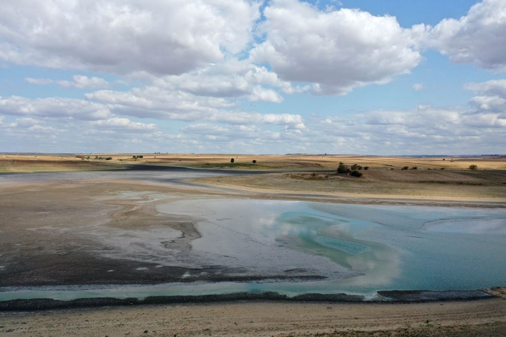 Korkutan gelişme! Yüzlercesi kıyıya vurdu