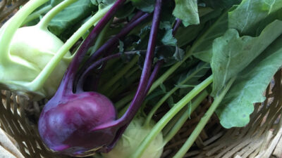 Salgın günlerinde mutlaka tüketin! Yüksek C vitamini sayesinde bağışıklığı güçlendiriyor…