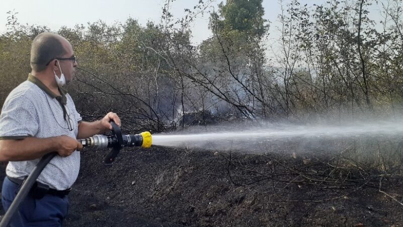 Bursa’nın Mustafakemalpaşa ilçesinde makilik alanda başlayan yangın itfaiye ve belediye
