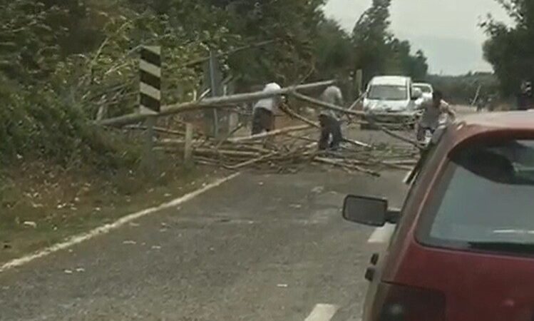 Bursa’da ağaçlar devrildi, yol trafiğe kapandı Bursa’nın İznik ilçesinde kuvvetli esen rüzgar ağaçları devirdi. Yol bir